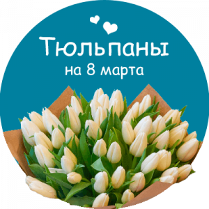 Купить тюльпаны в Кировске